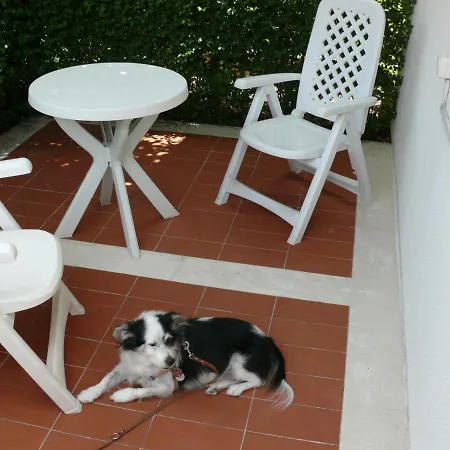 Appartement Fontana Olive Bol